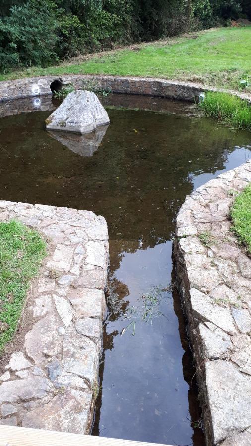 Birchdale House B&B 래스드럼 외부 사진