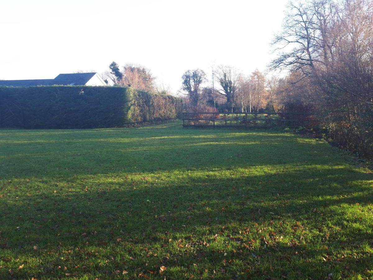 Birchdale House B&B 래스드럼 외부 사진